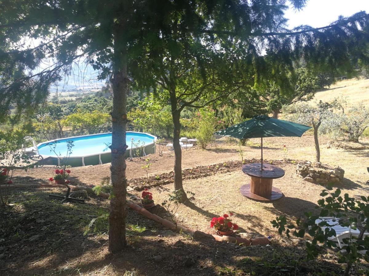 La Rosa Dei Venti Villa Monterotondo  Exterior photo